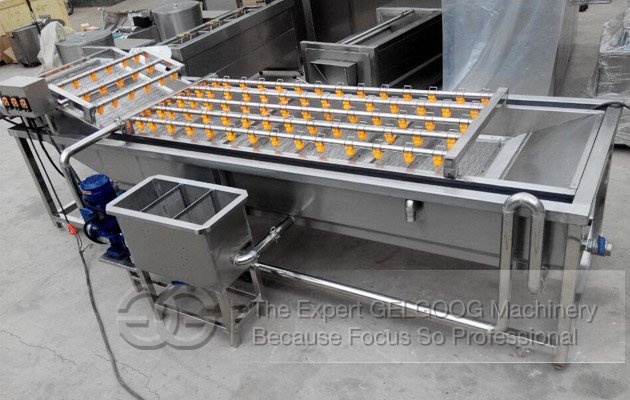 Automatic Ginger Washing and Cutting Production Line