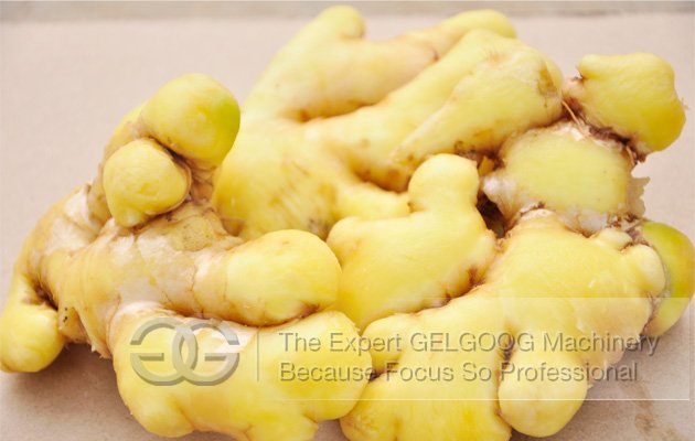 Automatic Ginger Washing and Cutting Production Line