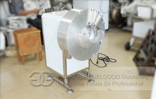 Automatic Ginger Washing and Cutting Production Line