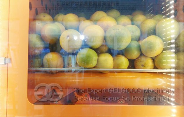 Freshly Squeezed Orange Juice Vending Machine 