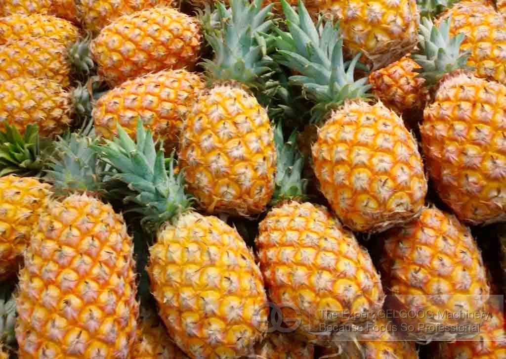 pineapple peeling machine|pineapple kernel removal machine