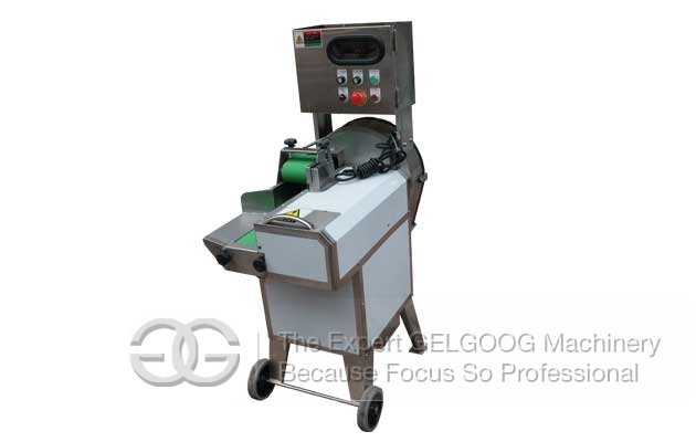 Double Frequency Conversion Vegetable Cutting Machine Manufacturer