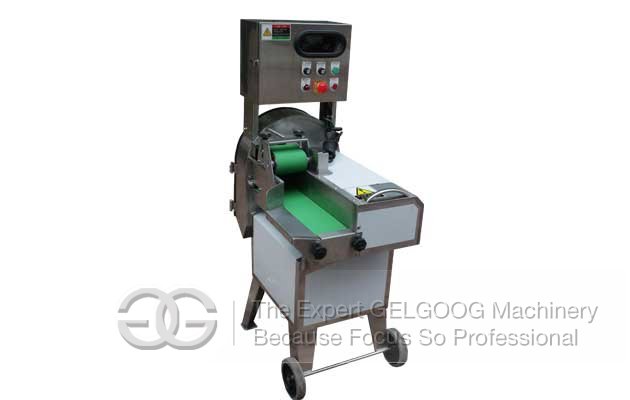 Double Frequency Conversion Vegetable Cutting Machine Manufacturer