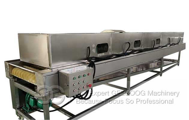 Commercial Dates Washing Cleaning Air Drying Machine Line