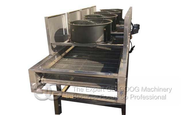 Commercial Dates Washing Cleaning Air Drying Machine Line